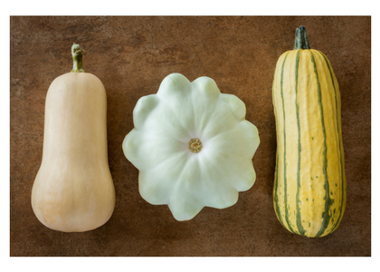 Meet Your Winter Squash - Joe Cross